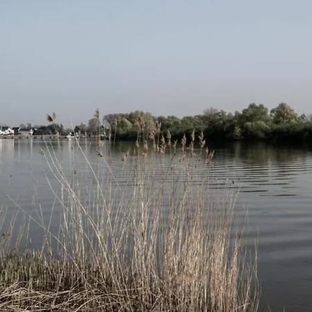 Amand'eau - Zwemvijver, Zonneterras, Grote Tuin Daire