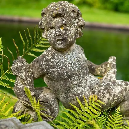 Amand'eau - Zwemvijver, Zonneterras, Grote Tuin * Sint-Amands