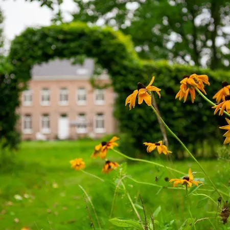Amand'eau - Zwemvijver, Zonneterras, Grote Tuin *